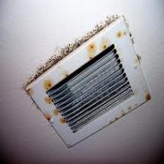 Mold on the Ventilation<br />
