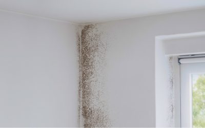 Mold Tips