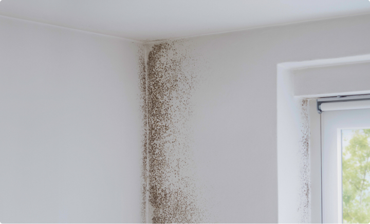 Mold tips